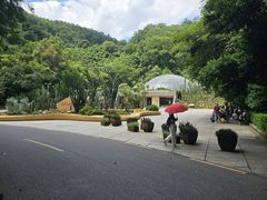 -深圳仙湖植物园