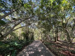 -中国科学院西双版纳热带植物园