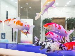 店内环境-JS医疗美容