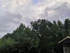 -堤角公园