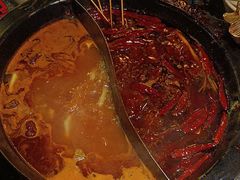 -蜀大侠火锅(总府路店)