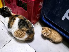 -老丘丘(较场口店)