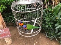 -南宫五洲植物乐园