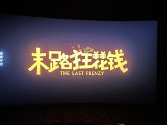 -SFC上影影城(北京大兴龙湖天街IMAX店)