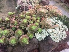 -悦哉·派对·草坪婚礼·围炉煮茶(三圣乡店)