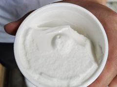 -洪馨椰子