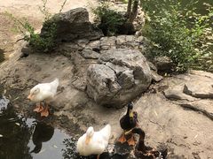 -莲花池公园