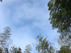 -江南天池高山汤泉城