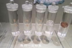 -太湖雪蚕桑文化园