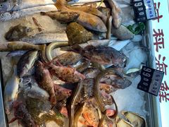 -大锅强·蒸海鲜青岛菜(吾悦广场店)