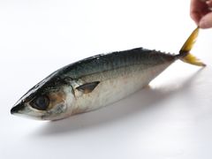 -七福日本料理