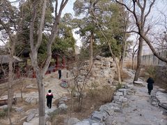 -大觉寺-停车场