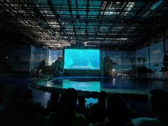 -华夏文旅海洋公园