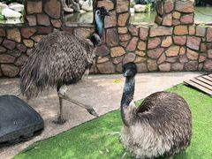 -J Create城市露营咖啡·简餐·宠物(上海动物园店)