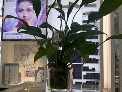 -宝岛眼镜(福州宝龙二店)