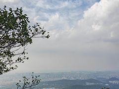 -紫金山山顶公园