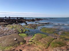 -青岛第二海水浴场