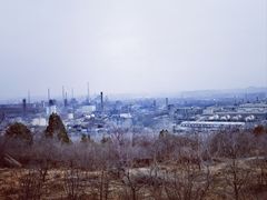 -白水寺森林公园