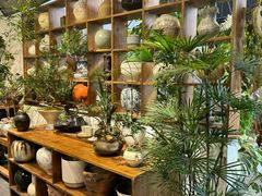 -自由生长植物工作室(深港花卉中心店)