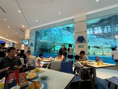 -帝企鹅自助餐厅•儿童岛•真企鹅(长隆企鹅酒店)