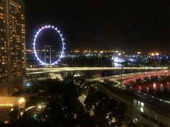 -新加坡文华东方酒店