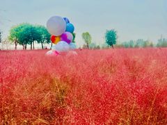 -汉长安城未央宫国家考古遗址公园