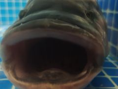 -和和小厨