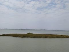 -芒洲湿地公园