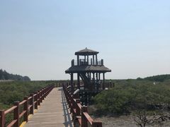 -北海金海湾红树林生态旅游区