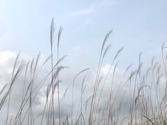 -惠东观音山