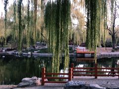 景点-陶然亭公园