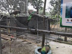 -九妹农家大铁锅东北菜(江湾店)