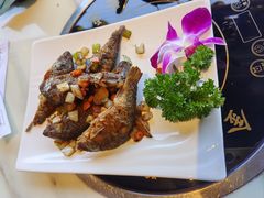 -大雄九老菜馆(南门桥店)