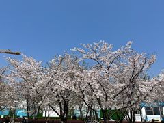 -龙美术馆(西岸馆)