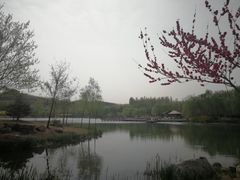 -河北省园博园