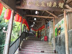 门面-鲤鱼塘农家山庄