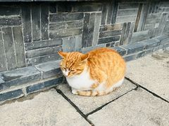 -龙华寺
