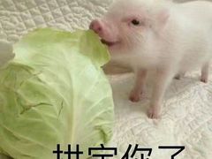 -卓尔书店咖啡吧