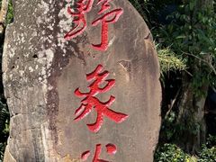 -野象谷景区