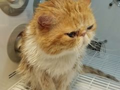 -袖虎·猫馆(体育西路店)