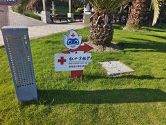 -碧海金沙