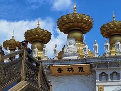 -上海东林寺(金山区)