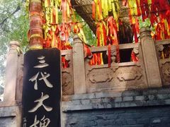 -大槐树寻根祭祖园