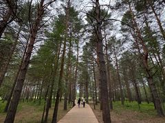 -北极村旅游风景区