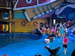 -烟台海昌鲸鲨海洋公园