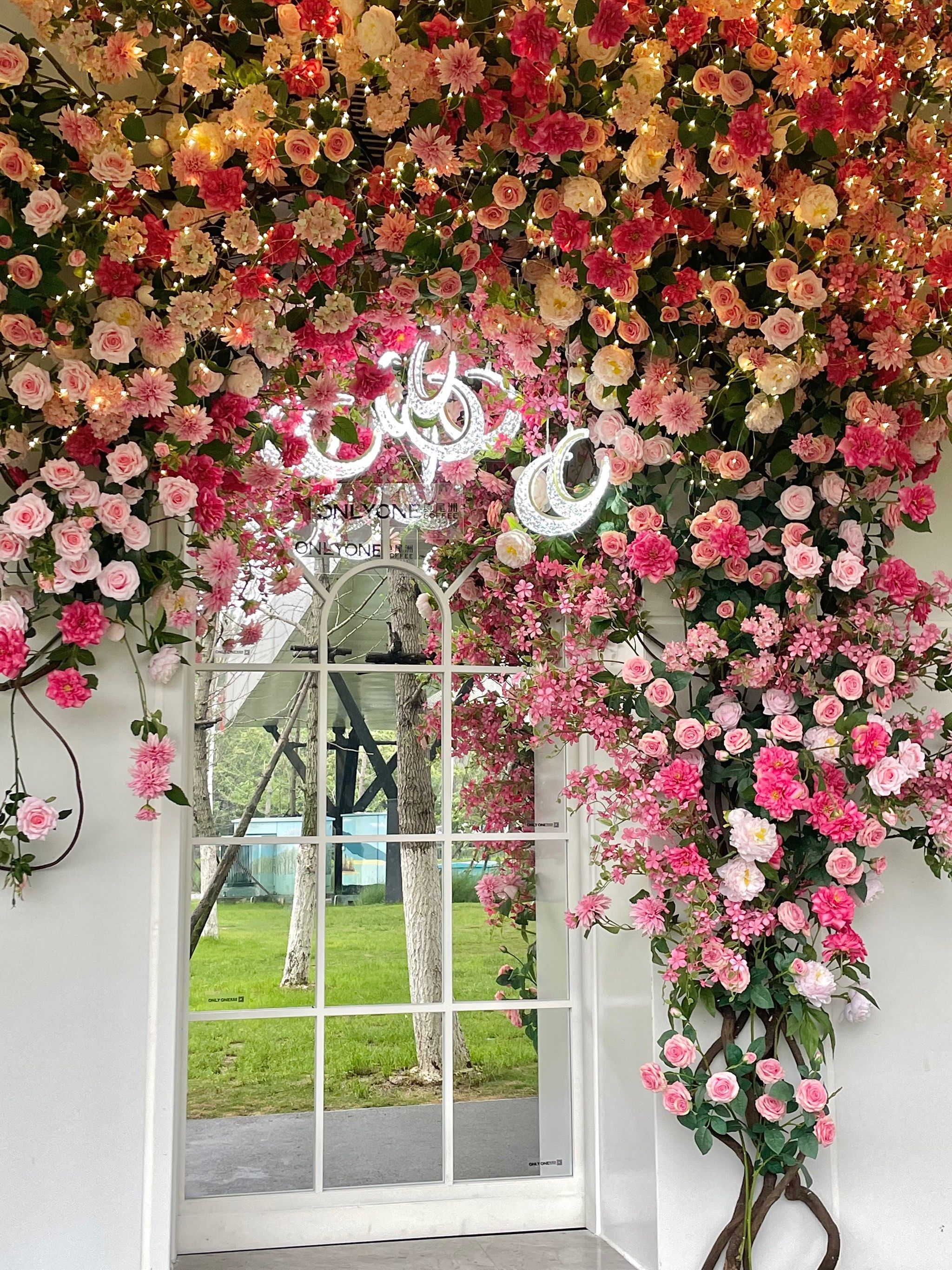 好好看啊!一整面花墙!