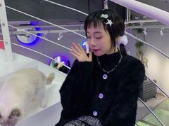 -极木²邸 人与宠物·互动社区