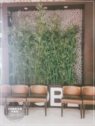-木北造型