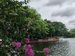 -荔湾湖公园