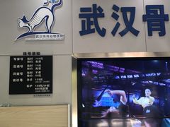 -伟伟宠物医院·CT影像中心·瑞派犬猫综合性门诊(汉口总院)